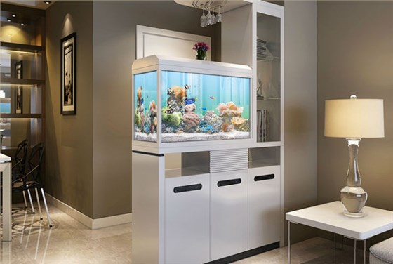 左右手魚缸隔斷 左右手魚缸隔斷