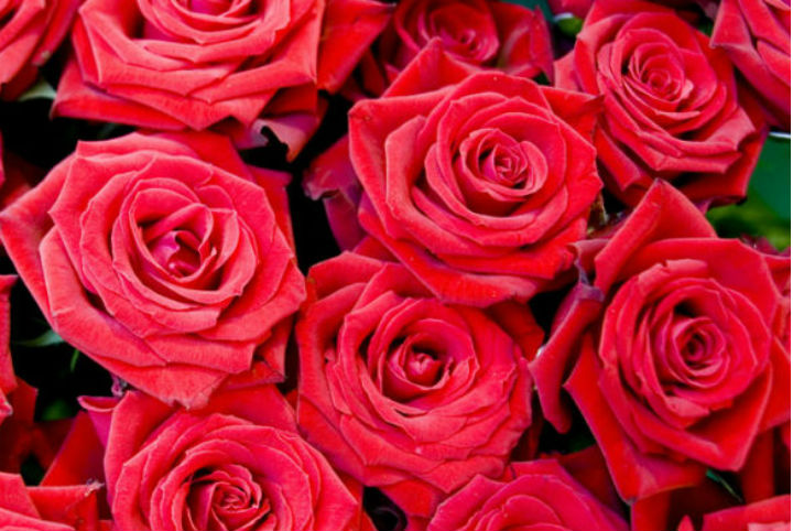 七夕告白信，請簽收